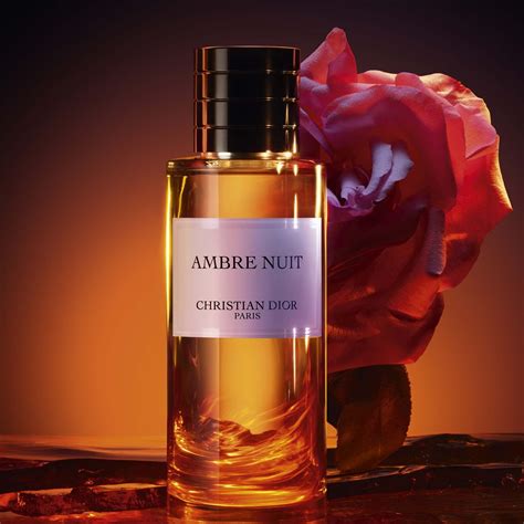 ambre nuit christian dior|christian dior perfume unisex.